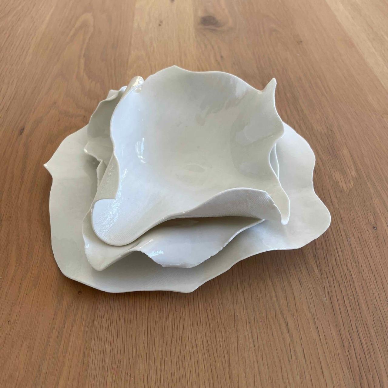 Pin by MellyB on süße Tiere in 2025 | Baby bats, Cute bat, Bat Pin by MellyB on süße Tiere in 2025 | Baby bats, Cute bat, Bat