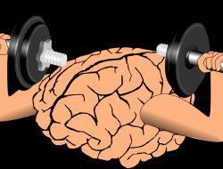 Training Video Platform For Effective Learning Experiences