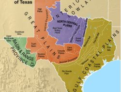 Texas Small Business Health Insurance Plans Explained